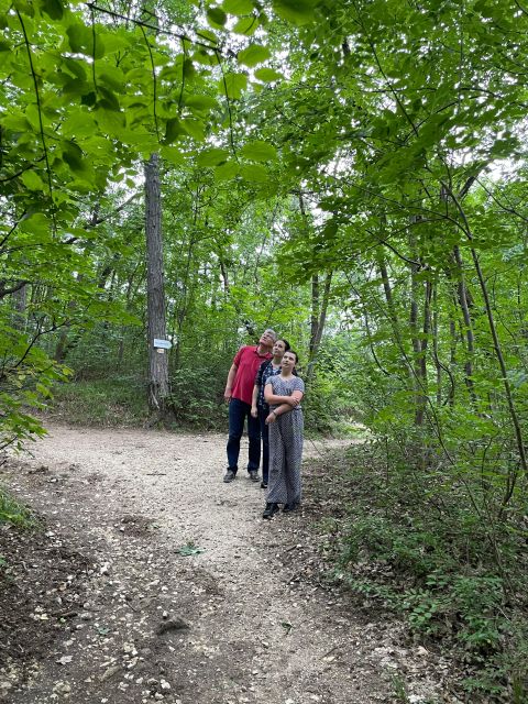 Hike, Nature & Picturesque View Over Budapest - What to Expect During the Hike