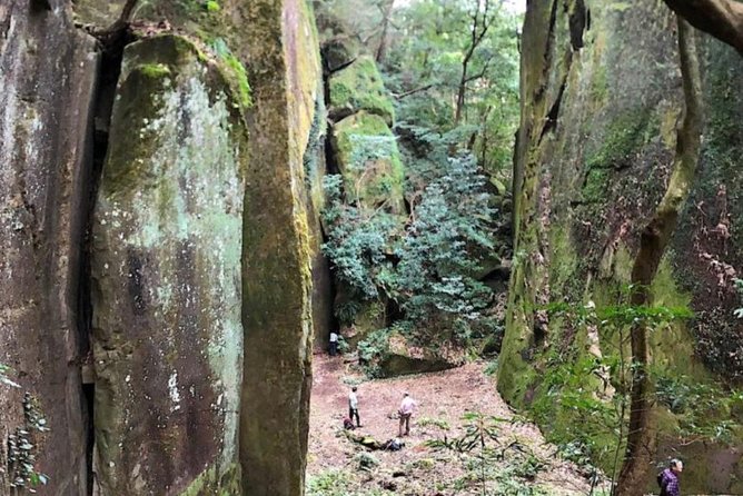 Hike Rope Ladders Miyazaki Japan - Exploring the Forests and Waterfalls