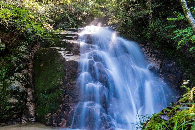 Hiking the Historic Nakasendo Trail- 1 Day Tour From Nagoya - What to Expect on the Tour