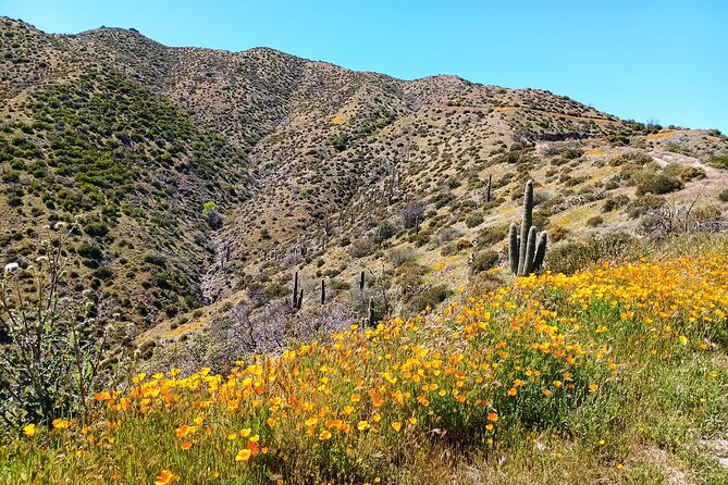 Historic 1880S Gold Mine Jeep Adventure Near Scottsdale Phoenix - Booking Information and Cancellation Policy