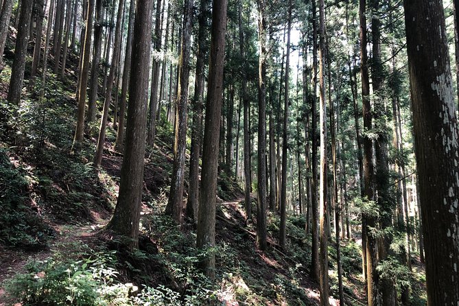 Historic and Natural Guided Hike in Yoshino - Preparing for the Hike: Essential Tips and Considerations