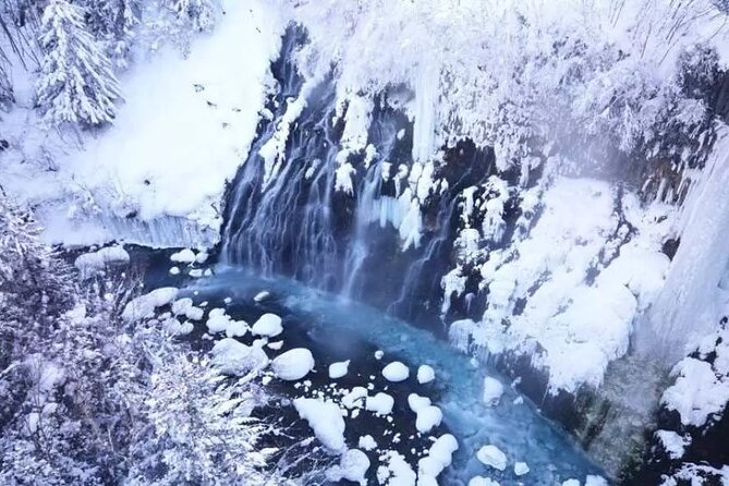 Hokkaido Day Tour From Sapporo: Asahiyama Zoo, Blue Pond Japan - Guest Reviews and Feedback