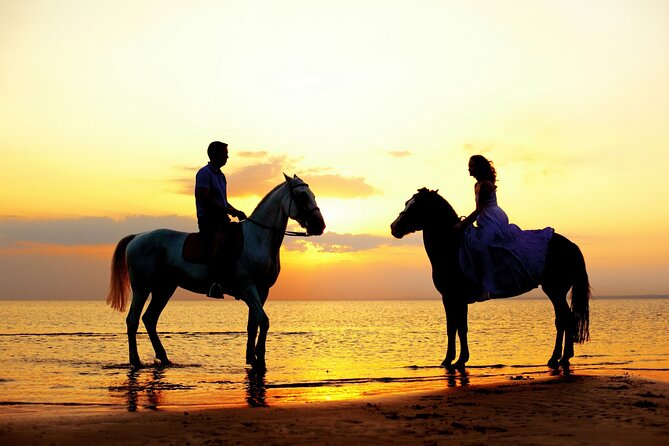 Horse Riding in Antalya,Belek,Lara Beach(Sunrise,Sunset,Day Time) - Preparing for the Horse Ride