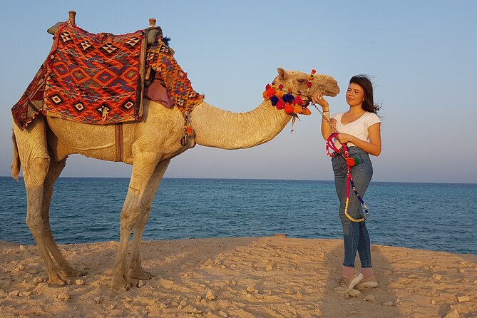Horseback Or Camel Riding One Hour With Transfer - Sharm El Sheikh - Frequently Asked Questions