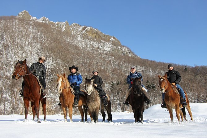 Horseback-Riding in a Country Side in Sapporo - Private Transfer Is Included - Safety Precautions and Rider Responsibilities