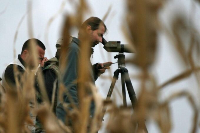 Hortobágy: Crane-watching at Dusk & Visit to the Puszta Park - Preparation and Recommendations