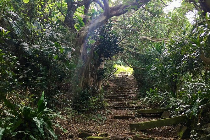 Iriomote Culture Discovery. Indigenous Culture on Iriomote Island - Taking in Iriomotes Historic Sites