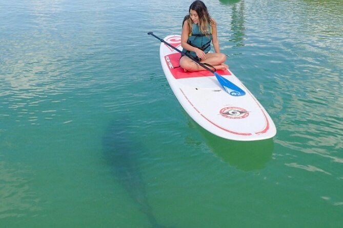 Island Tour by Pedal HOBIE / Kayak / SUP - Fort Myers Beach - Frequently Asked Questions