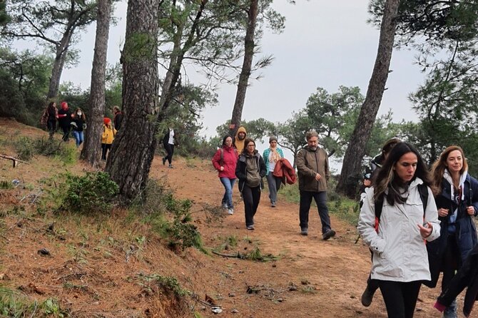 Istanbul Princes Islands Hiking & Trekking Tour With Local Hikers - Tips for Hikers and Travelers