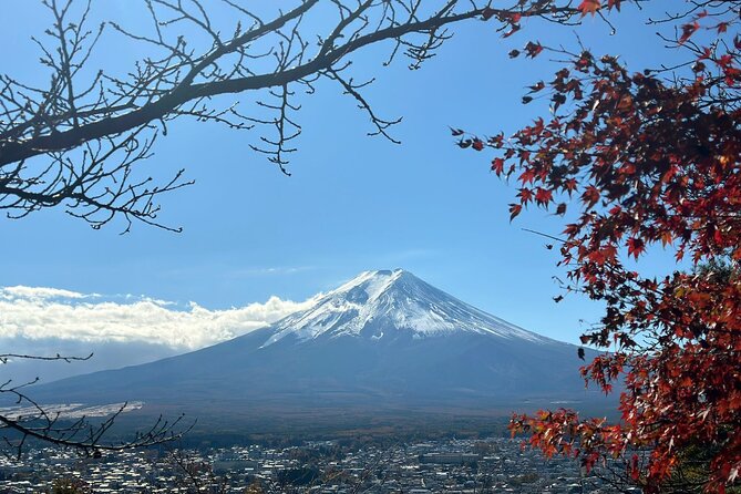 Japan 5 Days Private Tours All Included at Tokyo Osaka Kyoto Nara - Frequently Asked Questions