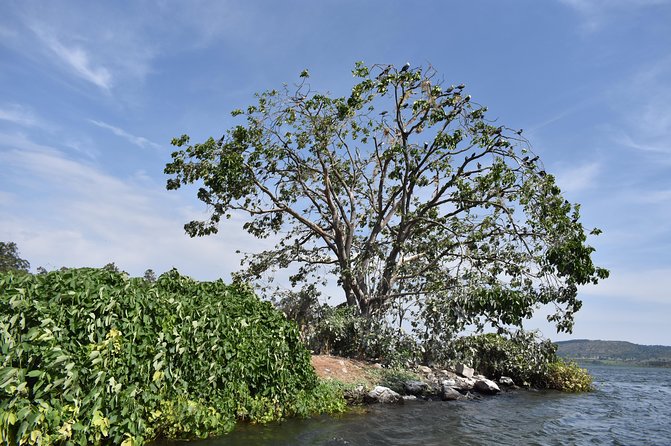 Jinja Adventure Tour - Frequently Asked Questions