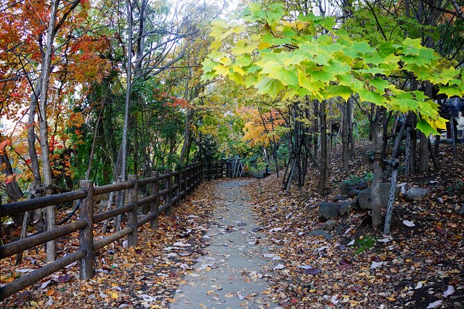Jozankei Autumn Leaves Day Tour by Private Car - Lowest Price Guarantee