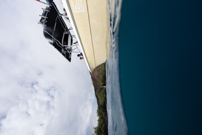 Kaimana Kealakekua Bay Captain Cook Adventure - The Thrill of Snorkeling