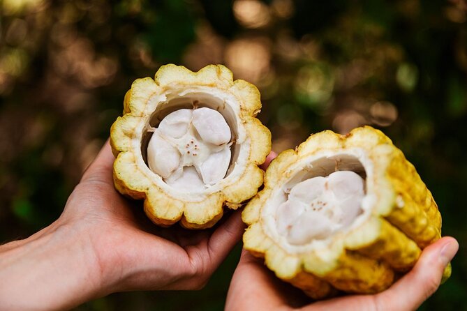Kauai Chocolate Farm Tasting Tour - Customer Feedback and Highlights