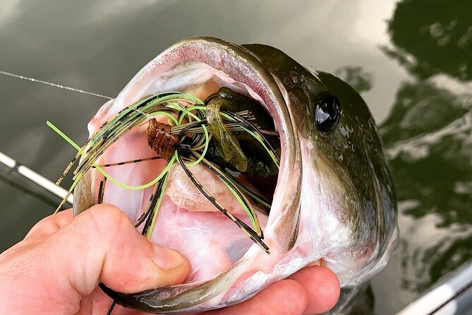 Kayak Fishing Guides and Scenic Paddle Tours - Small Group Experience: Personalized Attention and Fun
