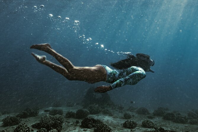 Kayak, Snorkel, and Surf With Turtles in Honolulu - Participant Reviews