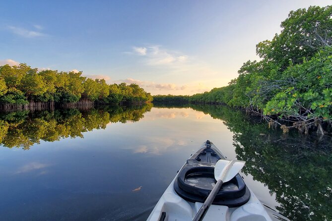 Kayak Through Mangrove Forests Review - Recommended for Nature Enthusiasts and Adventurers