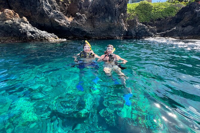 Kayak, Whale Watch, and Snorkel With Optional Photo and Video - Customer Experiences and Feedback
