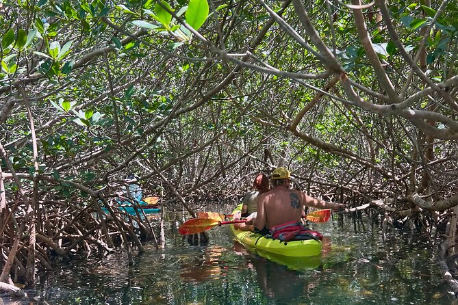 Key West Kayak Eco Tour | An Eco-Friendly Adventure Awaits! - Guided Tour Experience