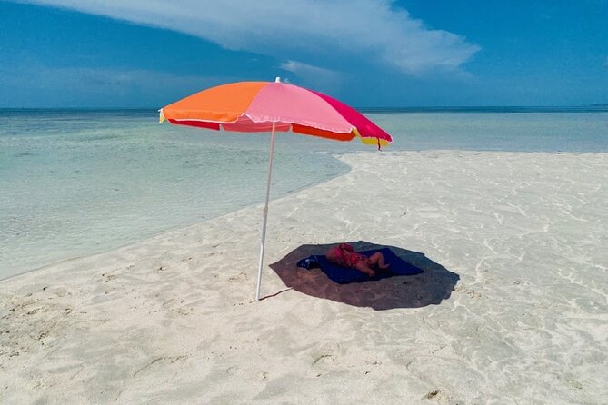 Key West Sandbar/Eco Trip Ran by Husband and Wife Naturalist Team - Customer Experiences and Testimonials