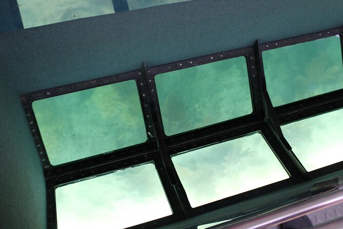 Key West Tours From Miami: Dolphin Discovery, Snorkeling & More ! - Accessibility Features