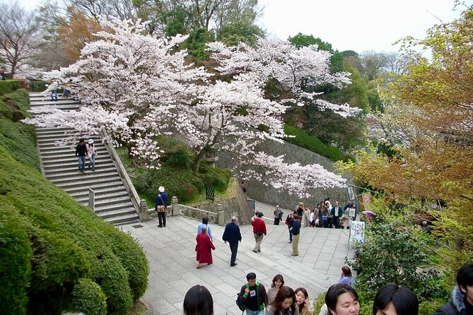 Kiyomizudera, Higashiyama and Yasaka Shrine Guided Walking Tour - Reviews and Ratings