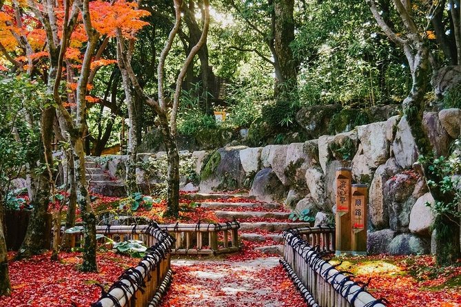 Kobe Private Customizable Full Day Tour - Customizing Your Itinerary