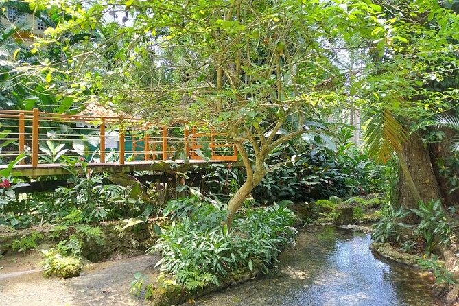 Konoko Falls and Park Private Tour - Frequently Asked Questions