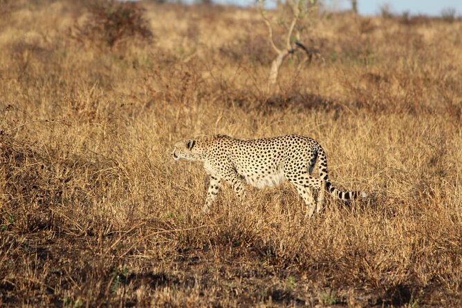 Kruger National Game Park Three Day PRIVATE Tour - Frequently Asked Questions