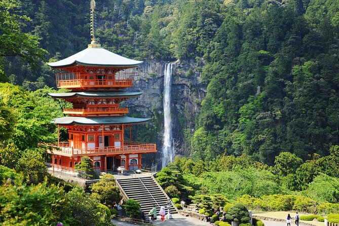 Kumano Kodo Pilgrimage Tour With Licensed Guide & Vehicle - Cultural Immersion and Unique Experiences