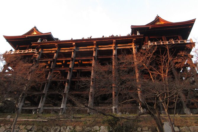 Kyoto ITALIAN GUIDE, Kiyomizu Temple Gion Pagoda Maiko Geisha - Encountering Maiko and Geisha