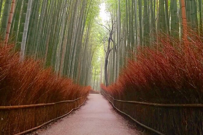 Kyoto, Osaka, Nara Full Day Tour by Car English Speaking Driver - Booking and Cancellation Information