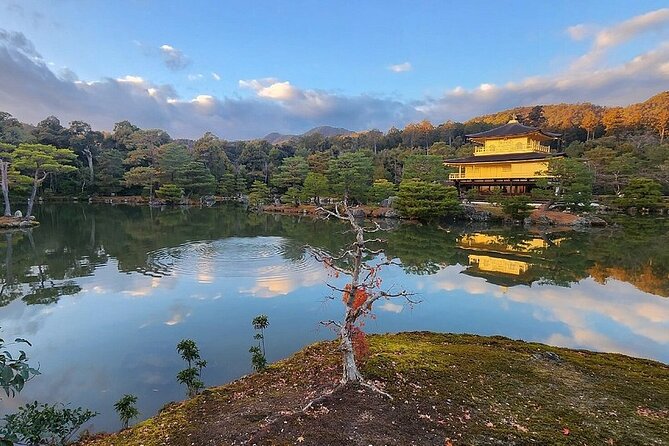 Kyoto, Osaka, Nara, Kobe Private Tours - Discover the Vibrant Cities of Osaka, Nara, and Kobe