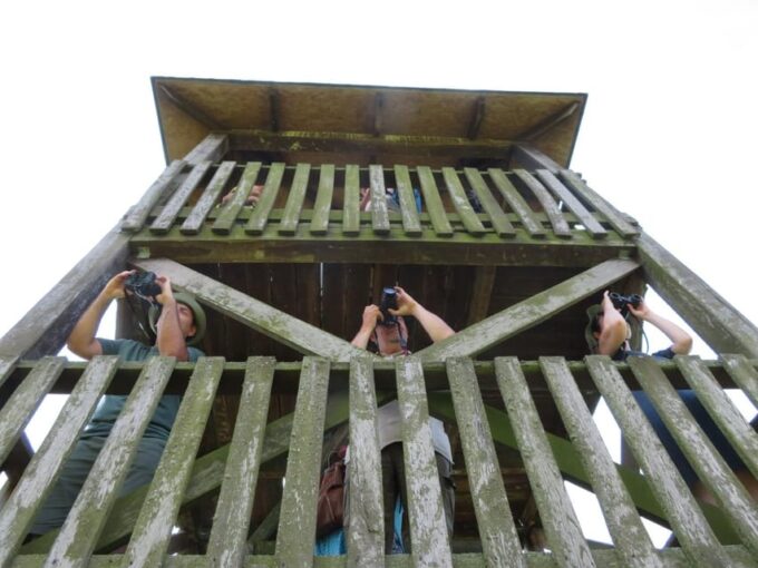 Lake Tisza: Boat Trip in the Bird Paradise - Booking Information