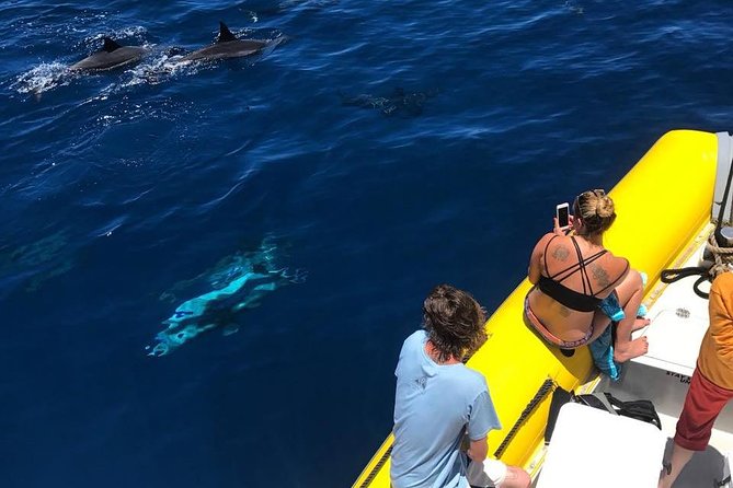 Lanai Deluxe Dolphin Adventure & 3 Snorkel Sites - Unforgettable Memories