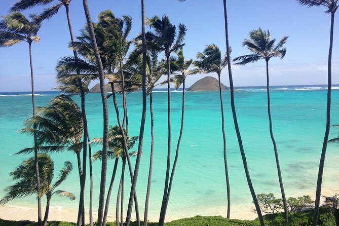 Lanikai to Mokulua Islands Stand up Paddle Board Tour - Highlights and Experiences