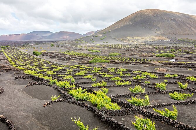 Lanzarote Tour With Timanfaya National Park and El Golfo - Ask Away