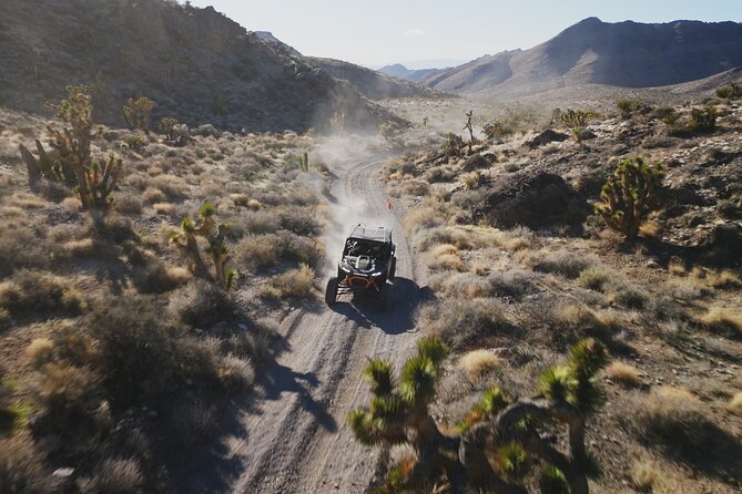 Las Vegas ATV Tour 2 or 4 Seater With FREE Transfer Included - Why Choose This Tour?