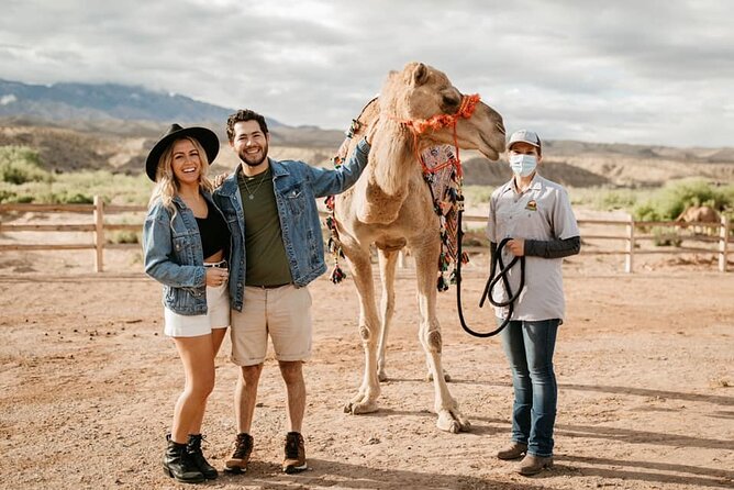 Las Vegas VIP Sunset Safari Tour Review - Questions About Your Stay