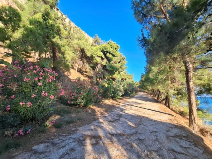 Laugh With Nafplio in Nature - About Yogi Ali