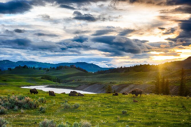 Luxury Grand Loop Tour of Yellowstone National Park - Culinary Offerings During the Tour