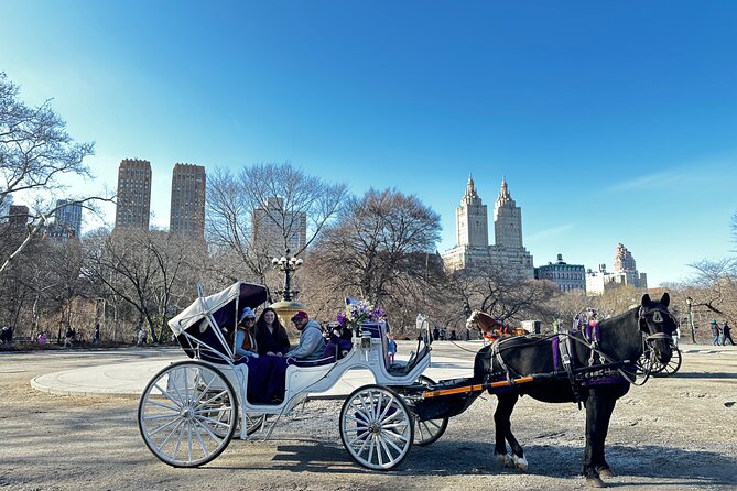 Luxury Horse and Carriage Tours in Central Park - The Carriage Experience