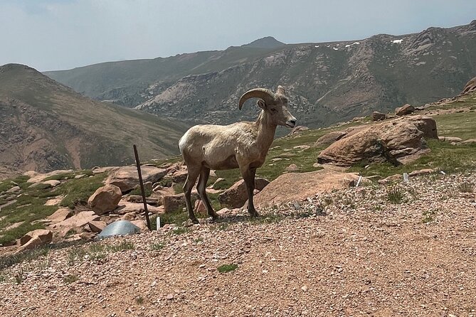 Luxury Private Van to Pikes Peak Review - Comfort and Convenience of Private Transportation