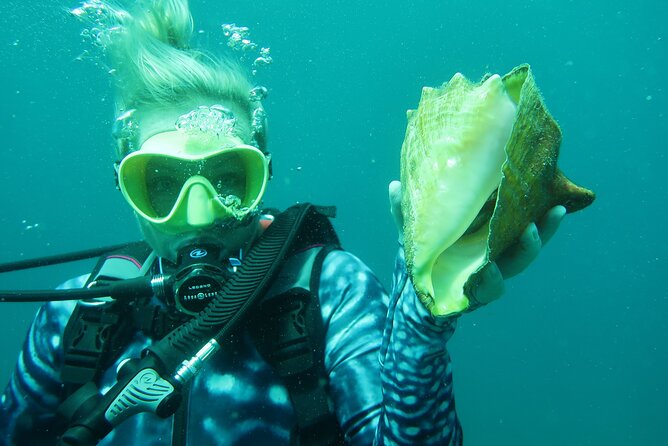 Luxury Snorkeling on Your Vacation Exclusively Private Guaranteed - Pricing and Reservation Options