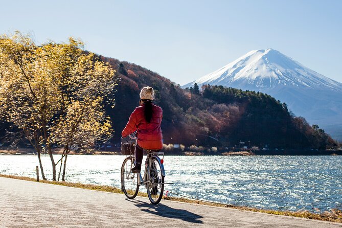 Majestic Mount Fuji: Exclusive Private Day Tour - Capturing Memorable Moments