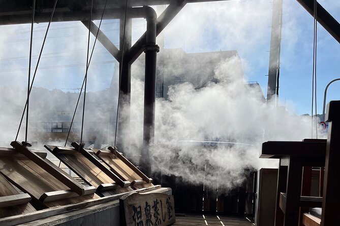 Make Lunch With Onsen Kitchen in Unzen - Highlights of the Activity