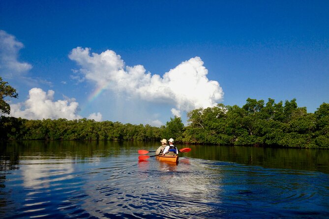 Marco Island Mangrove Tunnel and Maze Adventure Small Group Size - Navigating the Maze Adventure