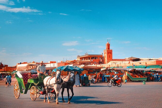Marrakech Guided Day Trip From Taghazout - Reviews and Feedback