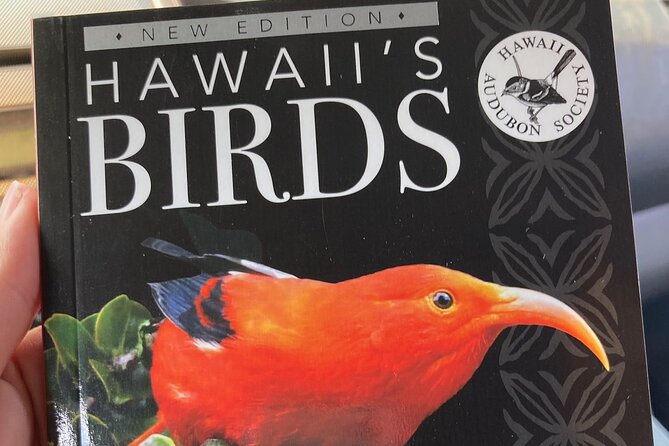 Maui Birdwatching at Maui Bird House - Tips for an Enjoyable Birdwatching Experience