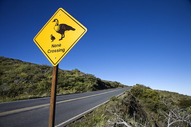Maui Sunset & Stargazing Tour Review - Our Verdict on the Tour